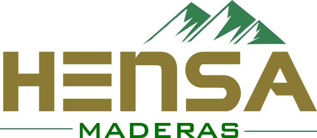 LOGO HENSA Logo
