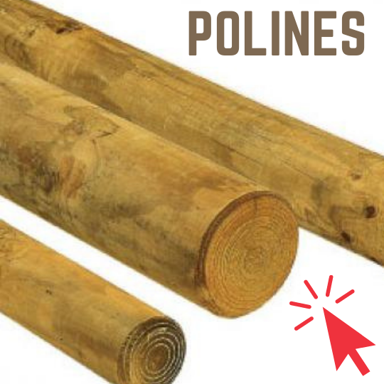 Polines Click Polines Click